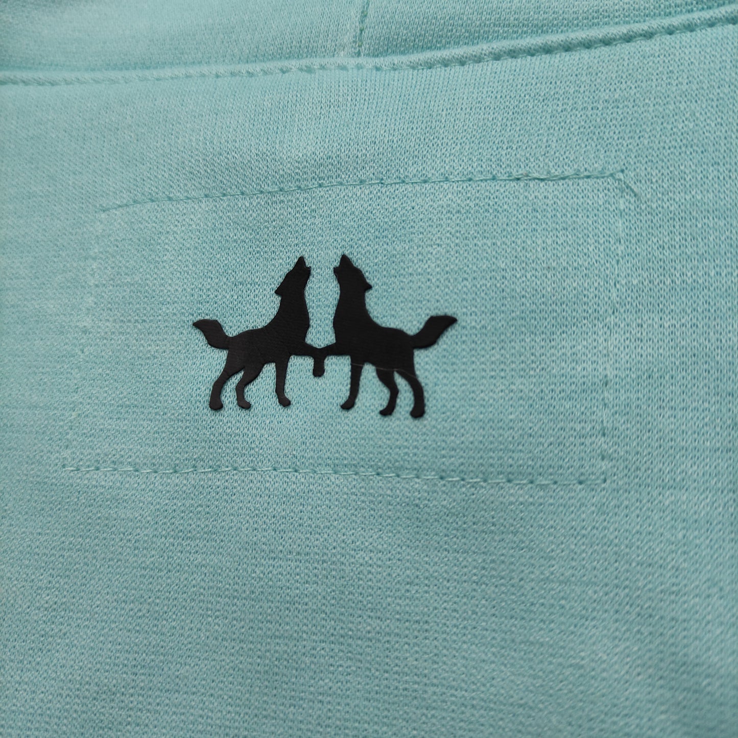 Buzo Hoodie Verde Menta