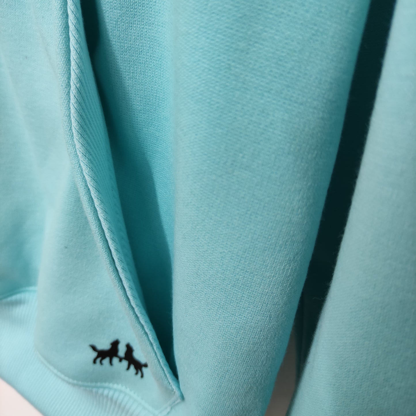 Buzo Hoodie Verde Menta