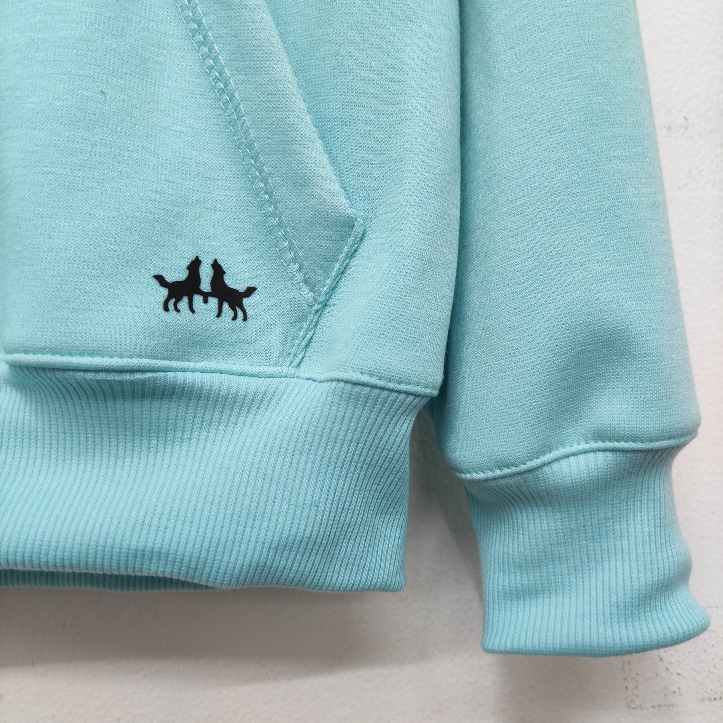 Buzo Hoodie Verde Menta